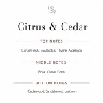 Citrus & Cedar Fragrance Oil 3 Citrus & Cedar Fragrance Oil Notes