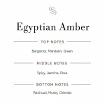 Egyptian Amber Fragrance Oil 3 Egyptian Amber Fragrance Oil Notes