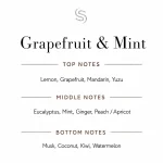Grapefruit & Mint Fragrance Oil 3 Grapefruit & Mint Fragrance Oil Notes