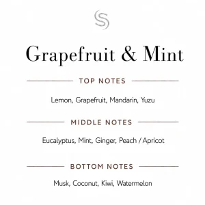 Grapefruit & Mint Fragrance Oil Notes