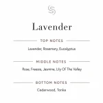 Lavender Fragrance Oil Notes