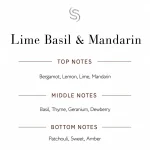 Lime Basil & Mandarin Fragrance Oil