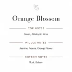 Orange Blossom Fragrance Oil Notes