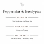 Peppermint & Eucalyptus Fragrance Oil Notes