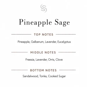 Pineapple Sage Fragrance Oil Notes