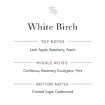 White Birch Fragrance Oil Notes